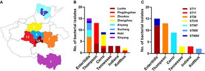 Genomic Investigation of Antimicrobial-Resistant Salmonella enterica Isolates From Dead Chick Embryos in China